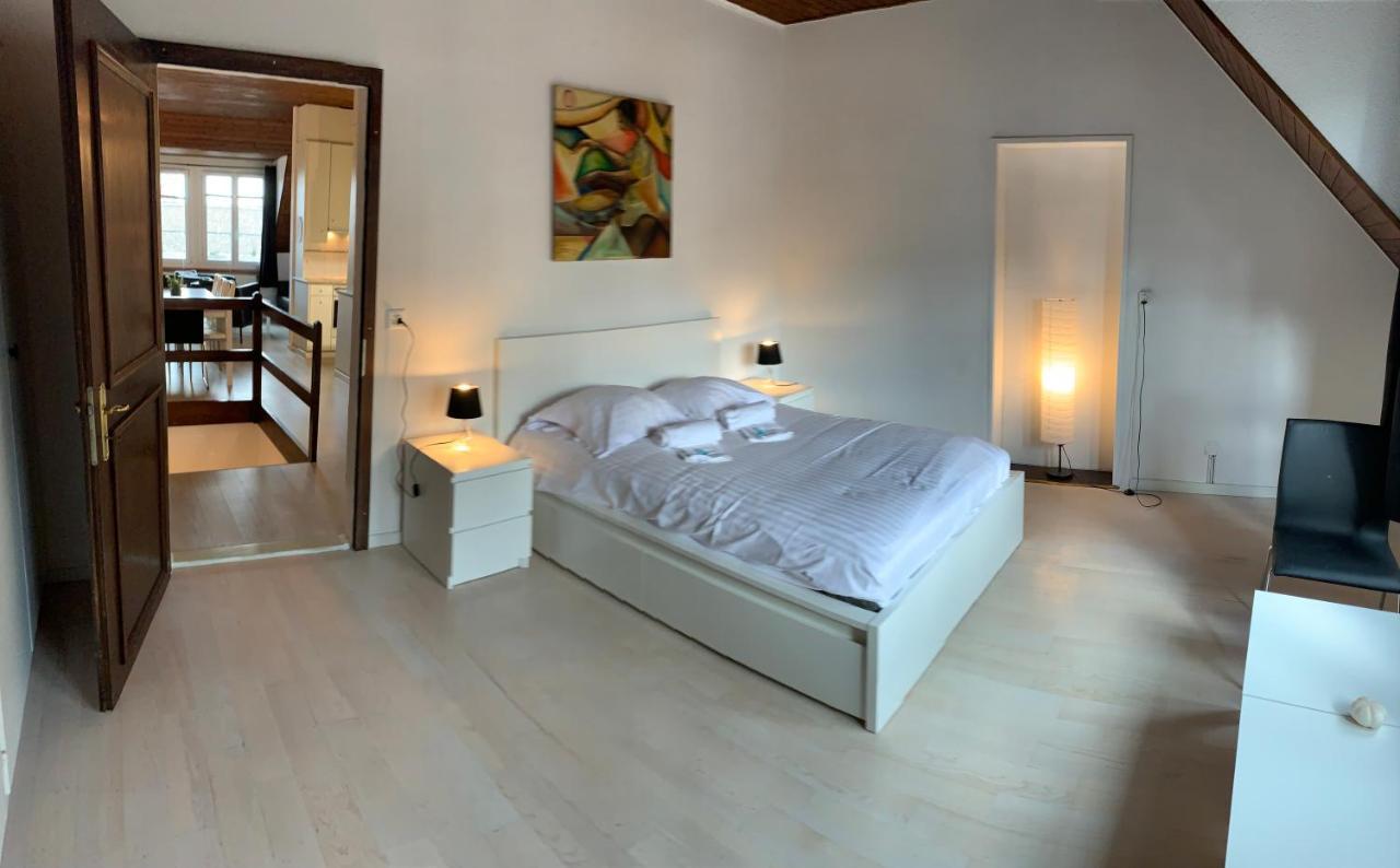 Luxury Duplex Vue Chateau Neuchâtel Exteriér fotografie